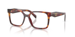 Prada PR B03V - 22A1O1 POPPY TORTOISE