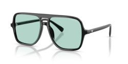 Emporio Armani EA 4252U - 501765 SHINY BLACK light azure