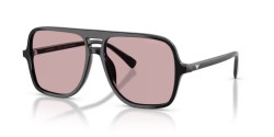 Emporio Armani EA 4252U - 501773 SHINY BLACK pink