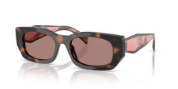 Prada PR B05S - 23A60B MAUVE TORTOISE light brown