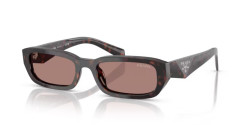 Prada PR B06S - 17N60B ROOT TORTOISE light brown