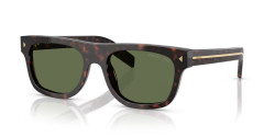 Prada PR B12S - 17N20G ROOT TORTOISE polarized green
