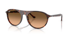 Ray-Ban RB 2215 - 14293B HAVANA RED TORTOISESHELL pink gradient black
