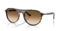 Ray-Ban RB 2215 - 143151 HAVANA YELLOW TORTOISESHELL clear gradient brown