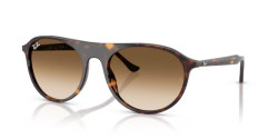 Ray-Ban RB 2215 - 902/51 HAVANA clear gradient brown
