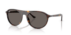 Ray-Ban RB 2215 - 902/B1 HAVANA dark grey