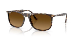 Ray-Ban RB 2216 - 143185 HAVANA YELLOW TORTOISESHELL gradient brown