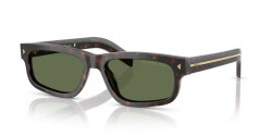 Prada PR B11S - 17N20G ROOT TORTOISE polarized green