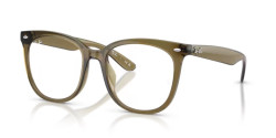 Ray-Ban RB 4379VD - 8445 TRANSPARENT DARK GREEN