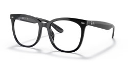 Ray-Ban RB 4379VD - 2000 BLACK