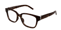 Saint Laurent SL M150/F - 002 HAVANA