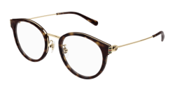 Gucci GG 1885OA - 002 HAVANA/GOLD
