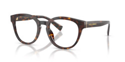 Dolce&Gabbana DG 3421 - 502 HAVANA