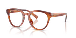 Dolce&Gabbana DG 3421 - 3221 STRIPED GINGER