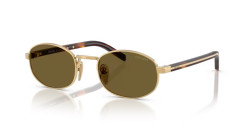 Prada PR B53S - 5AK09Z GOLD dark brown