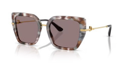 Dolce&Gabbana DG 4474 - 34457N HAVANA GREY purpe brown
