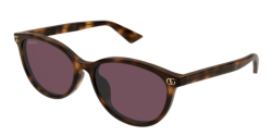 Gucci GG 1818SK - 002 HAVANA violet