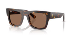 Ray-Ban RB 2217M - F61373 HAVANA dark brown