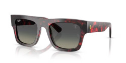 Ray-Ban RB 2217M - F70511 RED HAVANA grey gradient
