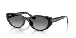 Ray-Ban RB 4457D - 667711 BLACK grey gradient