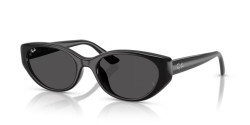 Ray-Ban RB 4457D - 667787 BLACK dark grey