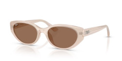 Ray-Ban RB 4457D - 678673 OPAL BEIGE dark brown