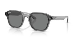 Ray-Ban RB 4458D - 645087 TRANSPARENT GREY dark brown