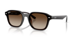 Ray-Ban RB 4458D - 714/13 TRANSPARENT DARK BROWN gradient brown