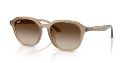 Ray-Ban RB 4459D - 616613 TURTLEDOVE gradient brown