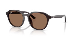 Ray-Ban RB 4459D - 623173 OPAL BROWN dark brown