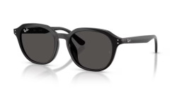 Ray-Ban RB 4459D - 901/87 BLACK dark grey