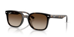 Ray-Ban RB 4461D - 710/13 HAVANA gradient brown