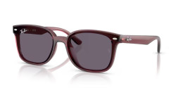 Ray-Ban RB 4461D - 659373 TRANSPARENT DARK BROWN violet