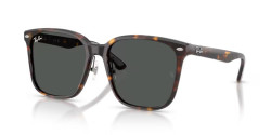 Ray-Ban RB 2206D - 710/87 HAVANA dark grey