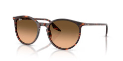 Ray-Ban RB 2204  - 14293B HAVANA RED TORTOISESHELL pink gradient black