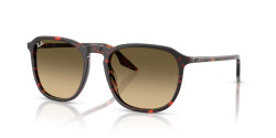 Ray-Ban  RB 2203 - 14290A HAVANA RED TORTOISESHELL brown vintage gradient black