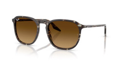 Ray-Ban  RB 2203 - 143185 HAVANA YELLOW TORTOISESHELL gradient brown
