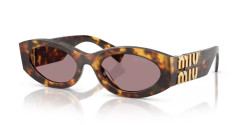 Miu Miu MU 11WS - 14L20I HONEY HAVANA light purple brown