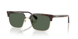 Versace VE 4494D - 108/71 DARK HAVANA dark green