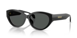 Versace VE 4495D - GB1/87 BLACK dark grey