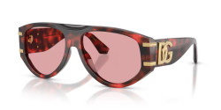 Dolce&Gabbana DG 4499 - 335884 RED HAVANA light violet