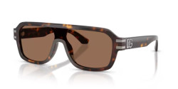 Dolce&Gabbana DG 4507 - 502/73 HAVANA dark brown