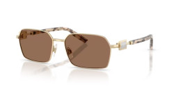 Dolce&Gabbana DG 2316 - 488/73 PALE GOLD dark brown