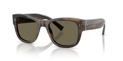 Dolce&Gabbana DG 4338 - 3200/3 GREEN HAVANA brown