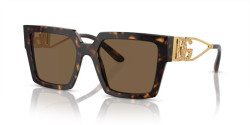Dolce&Gabbana DG 4446 - 502/73 HAVANA dark brown