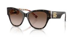 Dolce&Gabbana DG 4449 - 321713 HAVANA ON WHITE BARROW brown gradient
