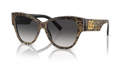 Dolce&Gabbana DG 4449 - 31638G LEO BROWN ON BLACK grey gradient