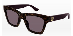 Gucci GG 1714S - 007 HAVANA violet