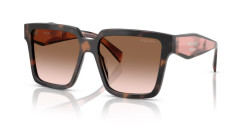Prada PR 24ZS - 23A0A6 MAUVE TORTOISE brown gradient