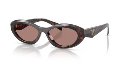 Prada PR 26ZS - 17N60B ROOT TORTOISE light brown